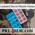 Leopard Secret Miracle Honey new14